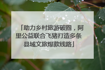 助力乡村旅游破圈，阿里公益联合飞猪打造多条县域文旅爆款线路