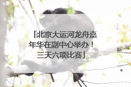 北京大运河龙舟嘉年华在副中心举办！三天六项比赛