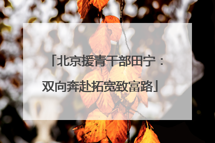 北京援青干部田宁：双向奔赴拓宽致富路