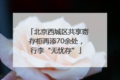 北京西城区共享寄存柜再添70余处，行李“无忧存”