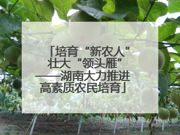 培育“新农人” 壮大“领头雁”——湖南大力推进高素质农民培育
