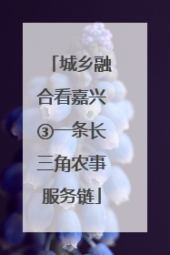 城乡融合看嘉兴③一条长三角农事服务链