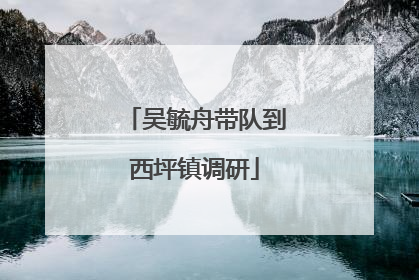吴毓舟带队到西坪镇调研
