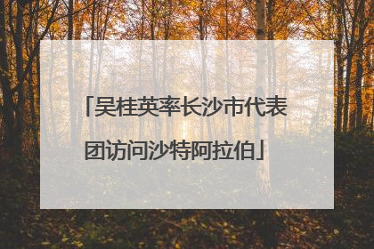 吴桂英率长沙市代表团访问沙特阿拉伯