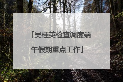 吴桂英检查调度端午假期重点工作