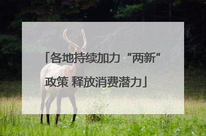 各地持续加力“两新”政策 释放消费潜力