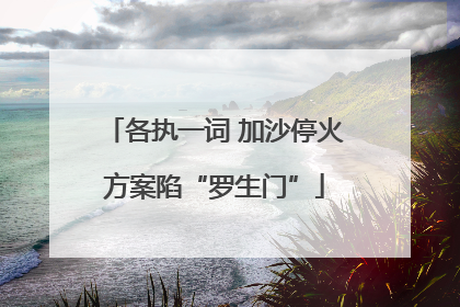 各执一词 加沙停火方案陷“罗生门”