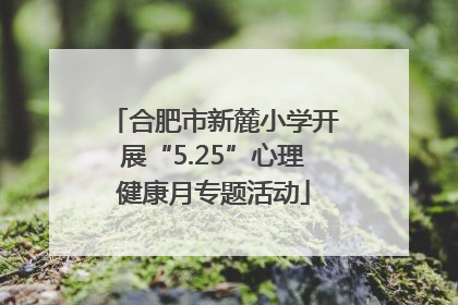 合肥市新麓小学开展“5.25”心理健康月专题活动