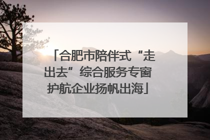 合肥市陪伴式“走出去”综合服务专窗护航企业扬帆出海