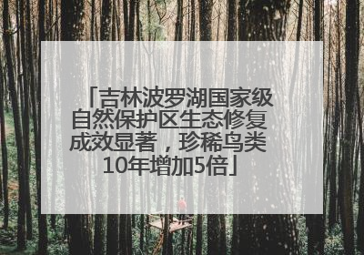 吉林波罗湖国家级自然保护区生态修复成效显著，珍稀鸟类10年增加5倍