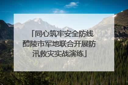 同心筑牢安全防线 醴陵市军地联合开展防汛救灾实战演练