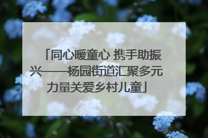同心暖童心 携手助振兴——杨园街道汇聚多元力量关爱乡村儿童