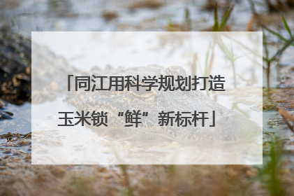 同江用科学规划打造玉米锁“鲜”新标杆