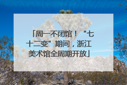 周一不闭馆！“七十二变”期间，浙江美术馆全周期开放