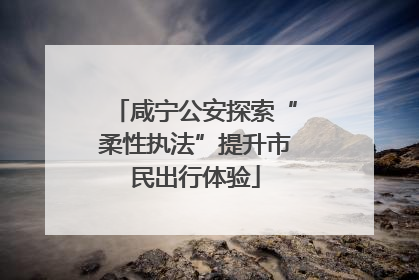 咸宁公安探索“柔性执法”提升市民出行体验