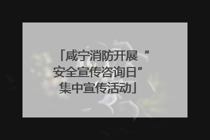 咸宁消防开展“安全宣传咨询日”集中宣传活动