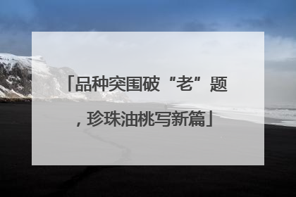 品种突围破“老”题，珍珠油桃写新篇