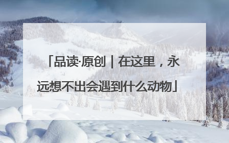 品读·原创｜在这里，永远想不出会遇到什么动物
