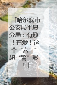 哈尔滨市公安局平房分局：有趣！有爱！这个“六一”超“警”彩！