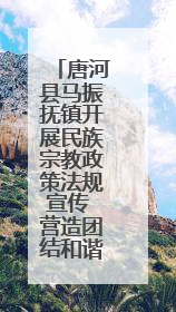 唐河县马振抚镇开展民族宗教政策法规宣传 营造团结和谐氛围