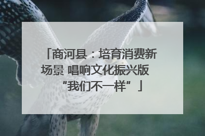 商河县：培育消费新场景 唱响文化振兴版“我们不一样”
