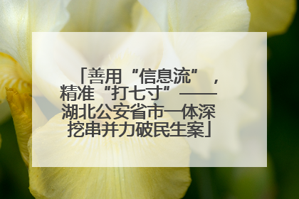 善用“信息流”，精准“打七寸”——湖北公安省市一体深挖串并力破民生案