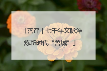 善评｜七千年文脉淬炼新时代“善城”