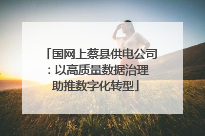 国网上蔡县供电公司：以高质量数据治理 助推数字化转型