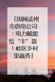 国网孟州市供电公司：电力赋能绘“丰”景！岭区乡村果蔬香