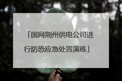 国网荆州供电公司进行防恐应急处置演练