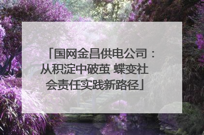国网金昌供电公司：从积淀中破茧 蝶变社会责任实践新路径