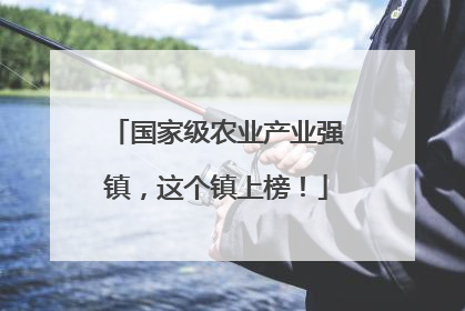 国家级农业产业强镇，这个镇上榜！