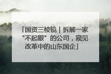 国资三棱镜｜拆解一家“不起眼”的公司，窥见改革中的山东国企