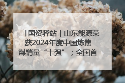 国资驿站｜山东能源荣获2024年度中国炼焦煤销量“十强”；全国首例铁路盖上智慧物流园钢结构主体完工