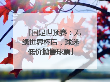 国足世预赛：无缘世界杯后，球迷低价抛售球票