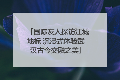 国际友人探访江城地标 沉浸式体验武汉古今交融之美