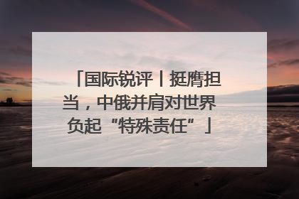 国际锐评丨挺膺担当，中俄并肩对世界负起“特殊责任”