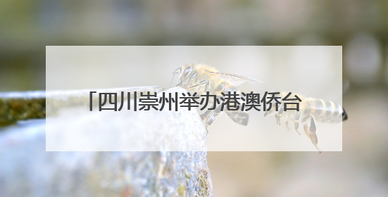 四川崇州举办港澳侨台界人士“粽情端午·粽香同庆”迎端午活动