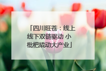 四川旺苍：线上线下双链驱动 小枇杷撬动大产业