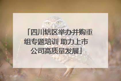 四川辖区举办并购重组专题培训 助力上市公司高质量发展