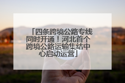 四条跨境公路专线同时开通！河北首个跨境公路运输集结中心启动运营