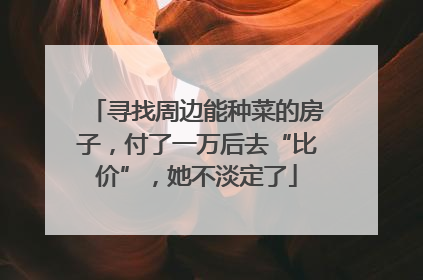 寻找周边能种菜的房子，付了一万后去“比价”，她不淡定了