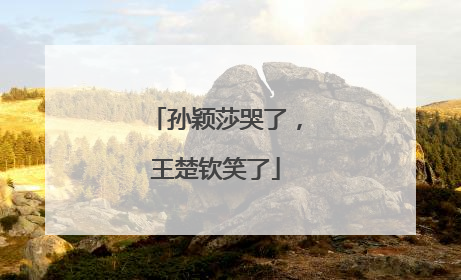 孙颖莎哭了，王楚钦笑了