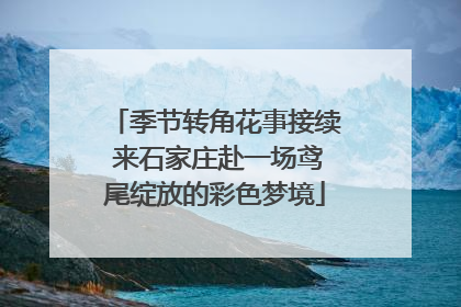 季节转角花事接续 来石家庄赴一场鸢尾绽放的彩色梦境