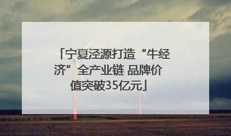宁夏泾源打造“牛经济”全产业链 品牌价值突破35亿元