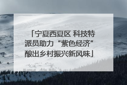 宁夏西夏区 科技特派员助力“紫色经济”酿出乡村振兴新风味