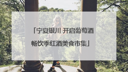 宁夏银川 开启葡萄酒畅饮季红酒美食市集