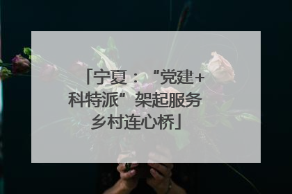 宁夏：“党建+科特派”架起服务乡村连心桥