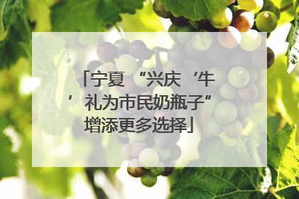 宁夏 “兴庆‘牛’礼为市民奶瓶子”增添更多选择