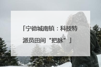 宁德城南镇：科技特派员田间“把脉”